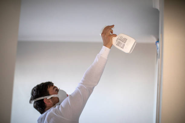 Best Commercial Mold Remediation in Winnsboro, LA