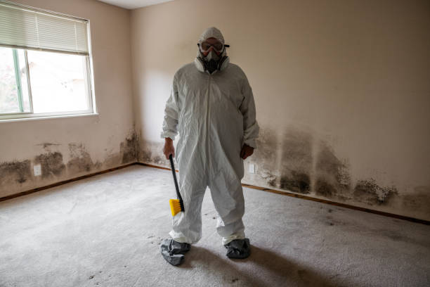 Reliable Winnsboro, LA Mold Remediation Solutions